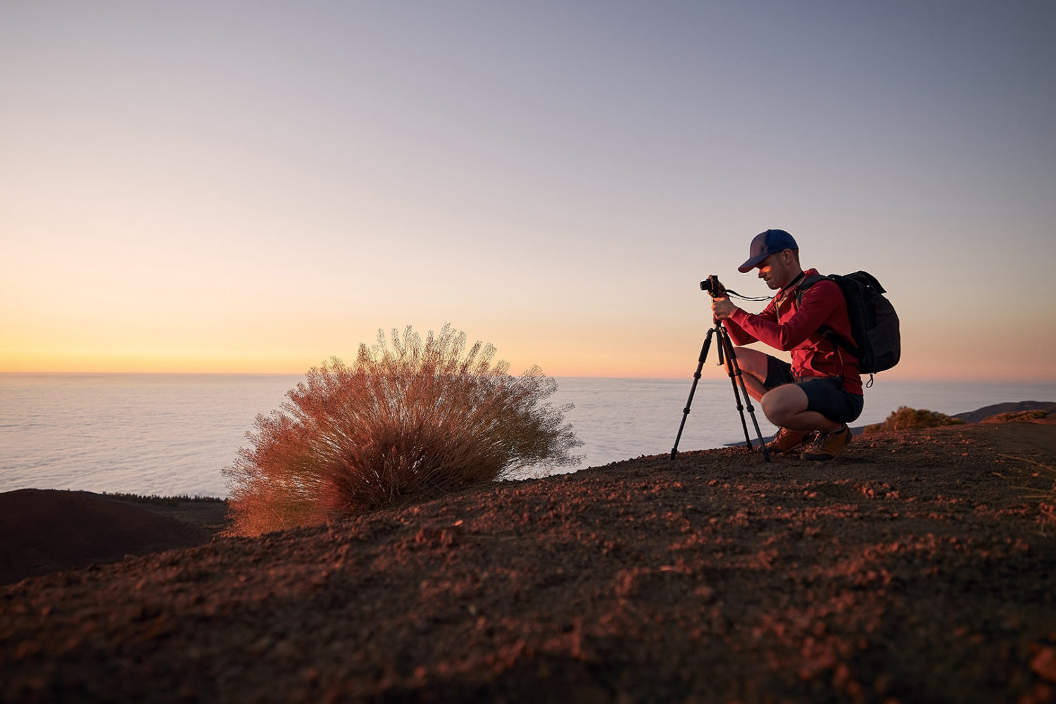 professional videography